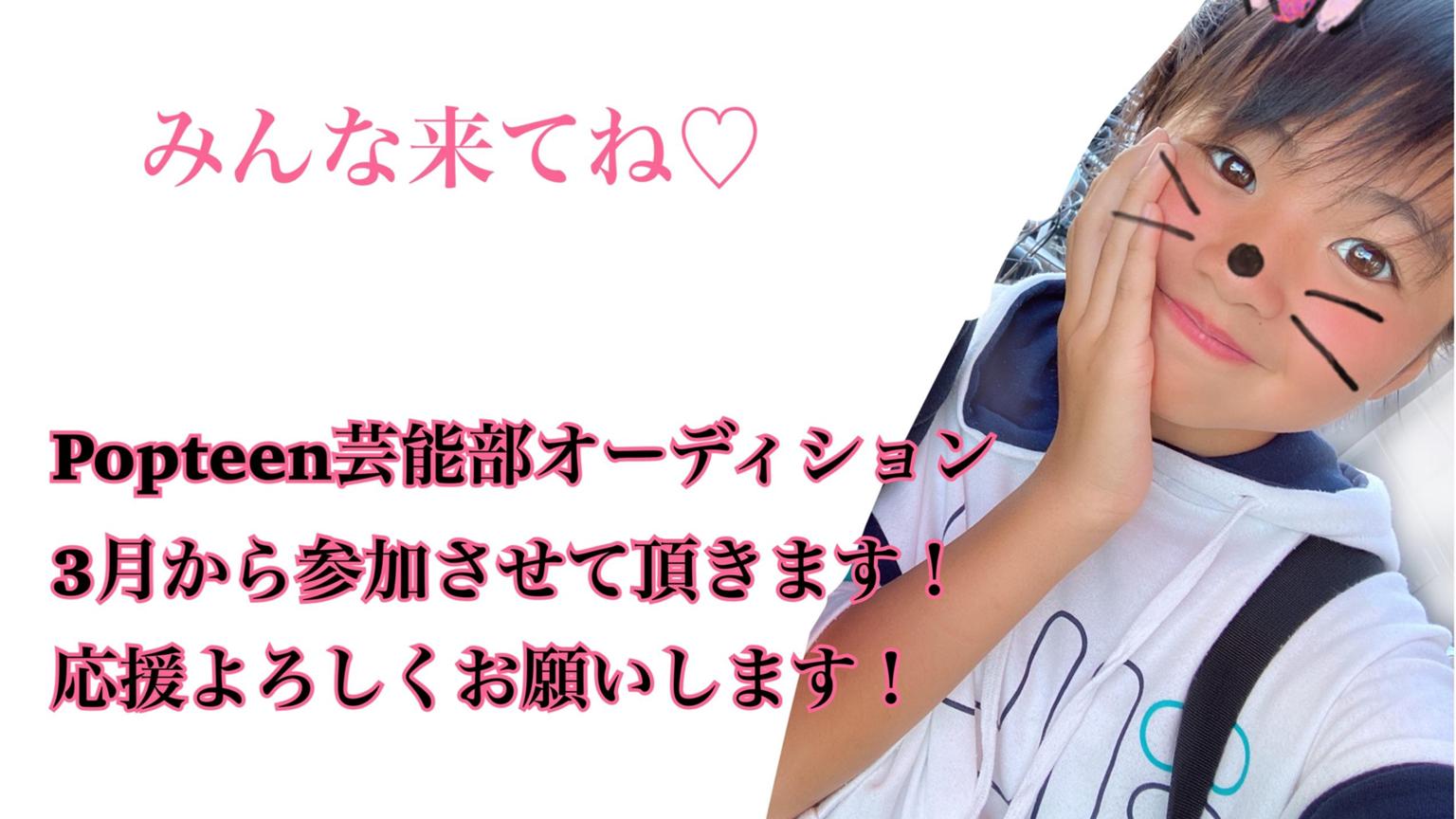 さくら　プロフィールお読み下さい　3口 初売り】 さくらちゃんと一緒の毎日を！木之本桜（CV：丹下桜