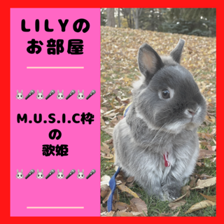 SHOWROOM(ショールーム) | ライブ配信サービス