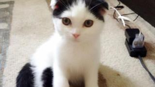 マーボーの部屋