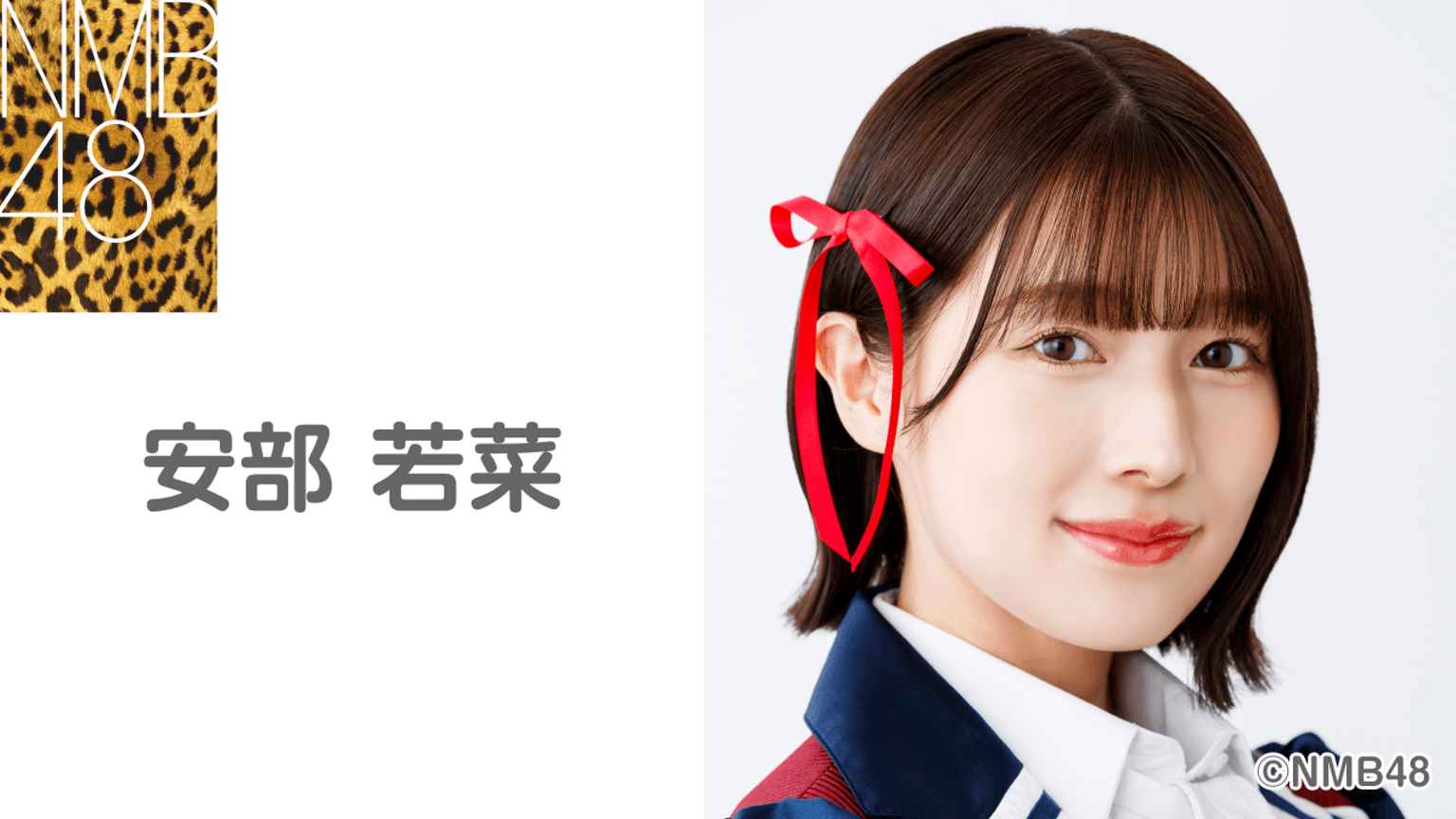 NMB48 安部若菜 生写真 グッズセット 約300点 NMB48 安部若菜 生 NMB48 安部若菜 生写真 グッズセット 約300点 NMB48 安部若菜 生