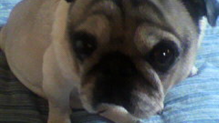 ハローの歌の練習部屋