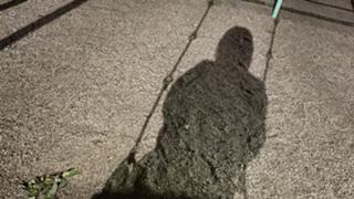 ただ歌いたいだけ