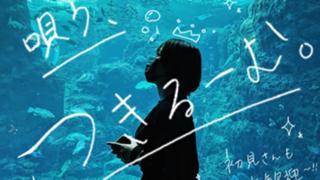 🌙唄う、つきるーむ。🍳