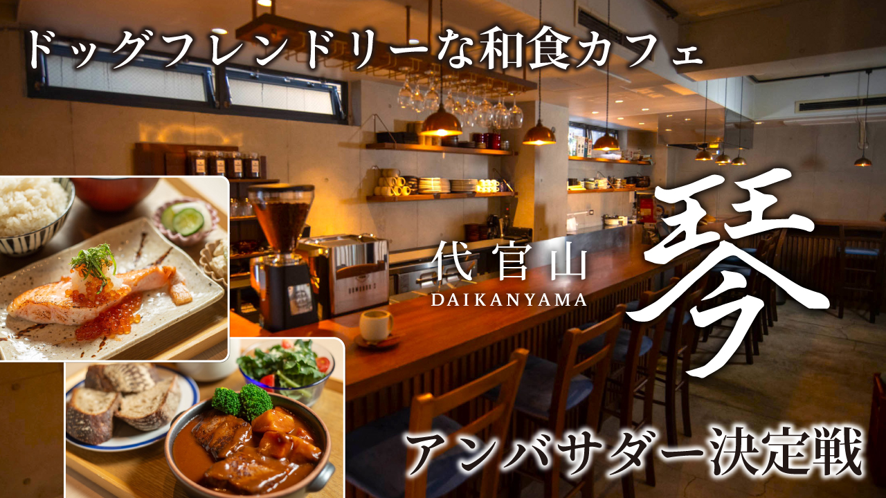 ドッグフレンドリーな和食カフェ『代官山 琴』アンバサダー決定戦