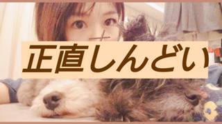 れいこさんの部屋