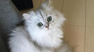 ❤️ゆーめぐの部屋❤️