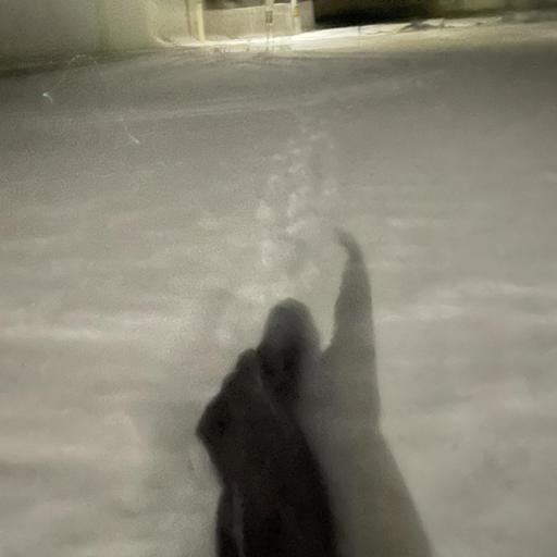 🧚♀️ナジと一緒🫶🌈