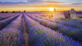 すまちゃんWw部屋