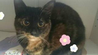 少し歌う気まぐれルーム