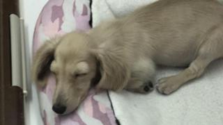 マルビーのVIPラウンジ☕️