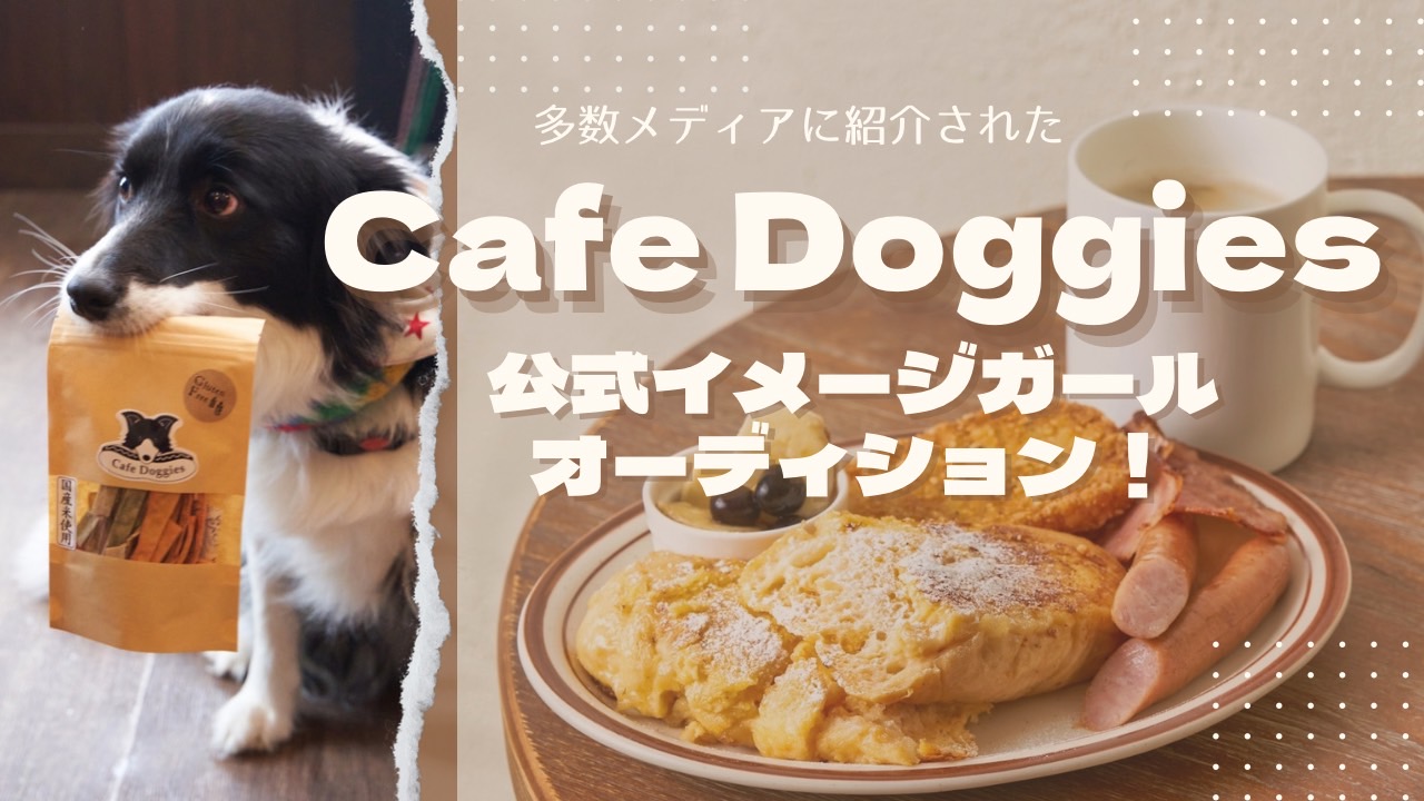 多数メディアに紹介された！Cafe Doggies公式イメージガールオーディション！