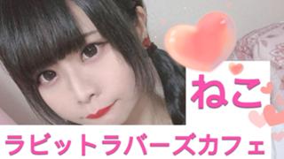 ルーム - SHOWROOM(ショールーム)