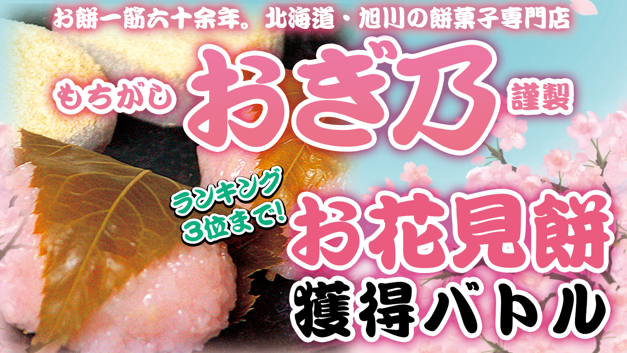 紫③ 山羊角 北海道産 - その他