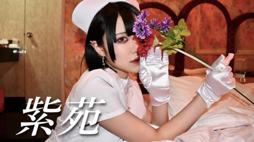 紫苑 Profile SHOWROOM