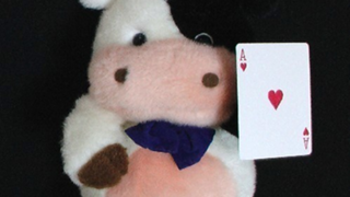 葵栄治【知的好奇心追求系YouTuber】