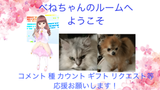 ベネちゃんの部屋