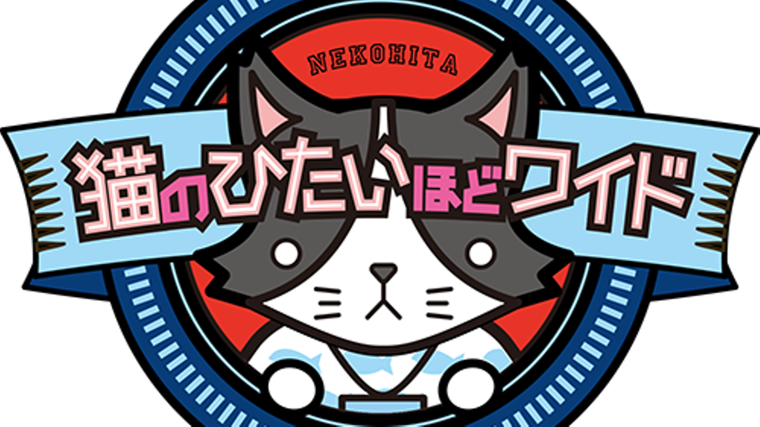 猫 の ひたい ほど ワイド 見逃し