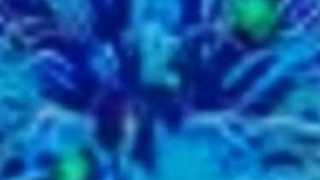 ZENIGATAの雑談部屋