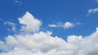 まかろるーむ。【初心者🔰】