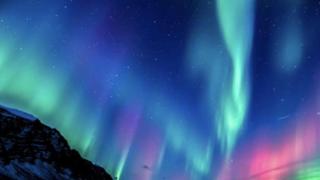 更紗の気まぐれ　