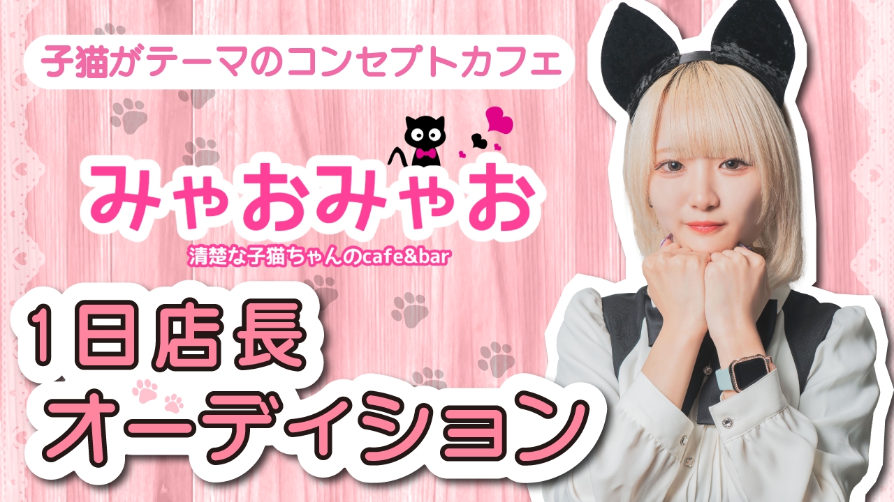 清楚な子猫ちゃんのcafe&bar『みゃおみゃお』1日店長オーディション