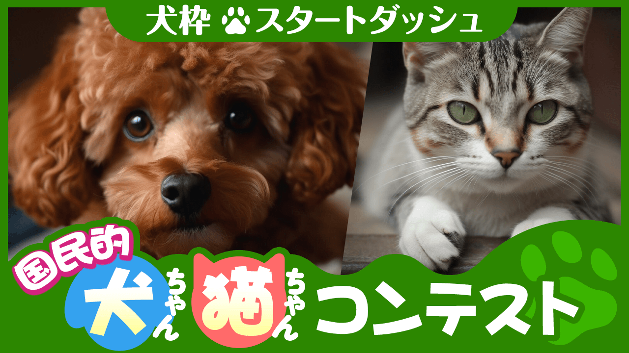 【犬枠-スタートダッシュ】国民的犬ちゃん・猫ちゃんコンテスト