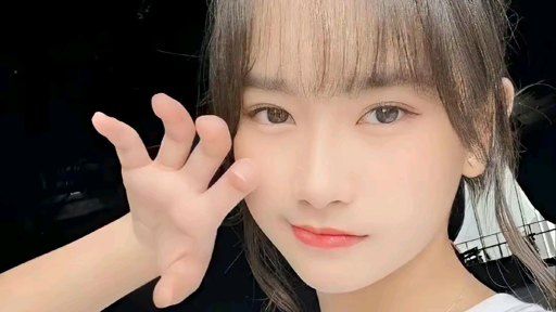 DANZ - Profile - SHOWROOM