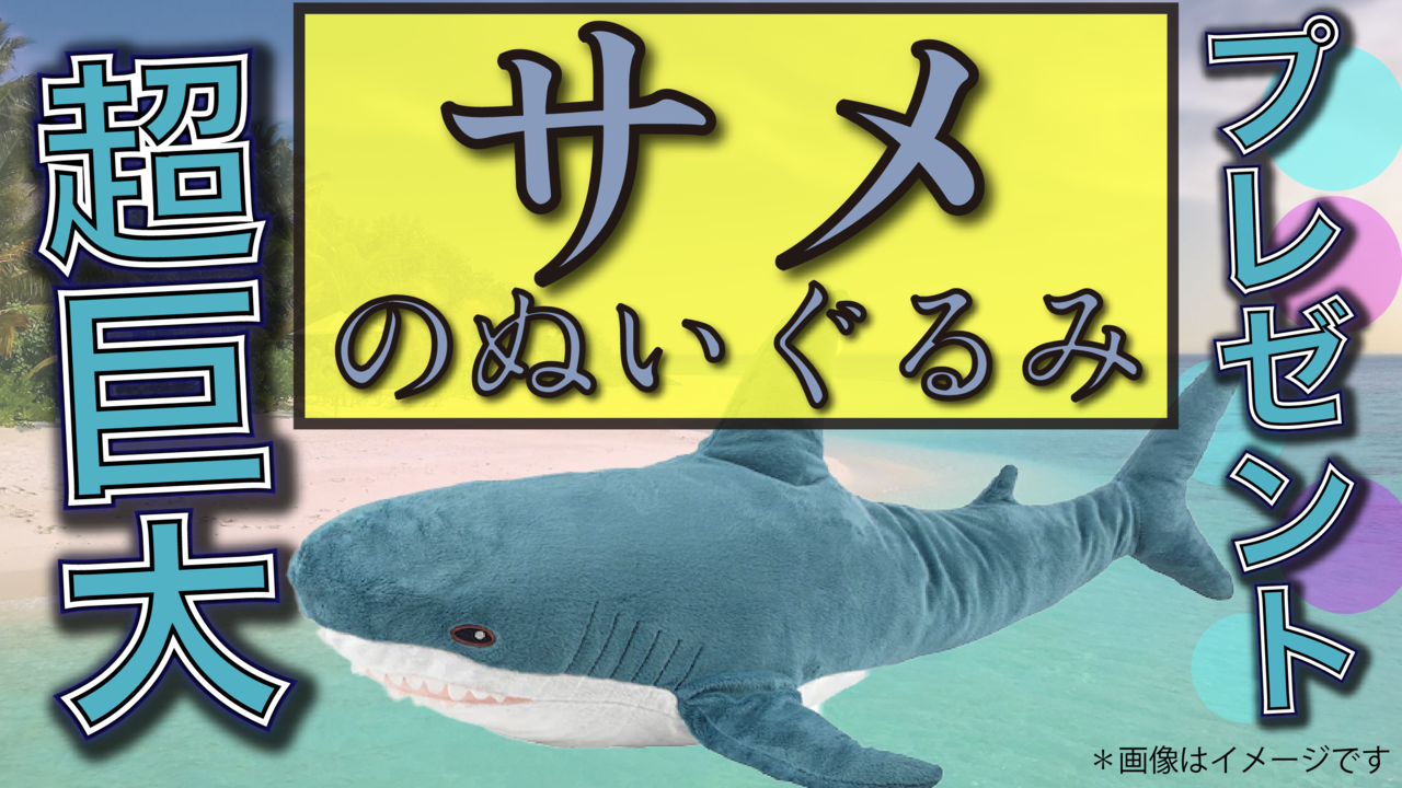特大サメのぬいぐるみプレゼント!! - SHOWROOM(ショールーム)