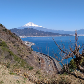 せろーるーむ ※お散歩配信か雑談です