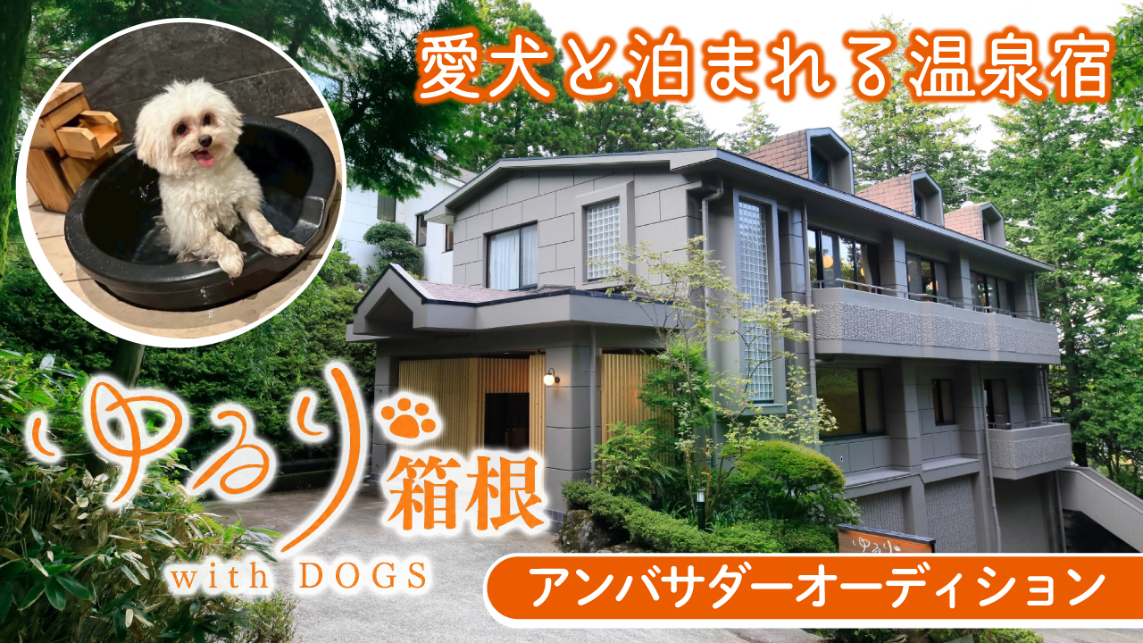 愛犬との癒し旅が叶う温泉旅館『ゆるり箱根 with DOGS』アンバサダーオーディション