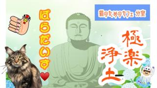 💫『極パラ』(*ˊᵕˋ*)੭ 💕💫(猫のためのカフェ…分室)