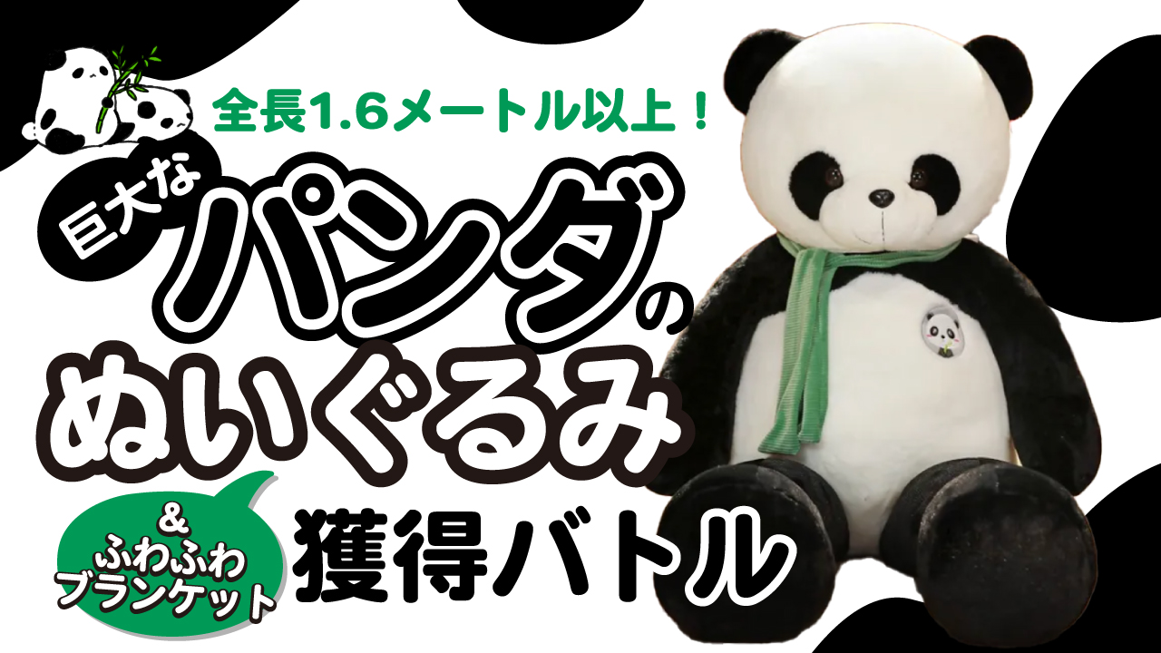 巨大なパンダのぬいぐるみ＆ふわふわブランケット♡獲得バトル