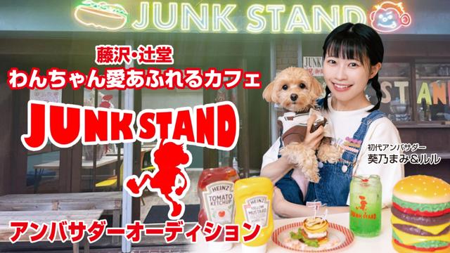 【藤沢・辻堂】わんちゃん愛あふれるカフェ『JUNK STAND』2代目アンバサダー決定戦