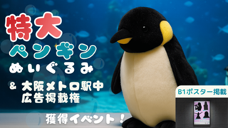 可愛いに癒されよう！特大ペンギンのぬいぐるみ＆駅中広告ポスター掲載権獲得イベント！
