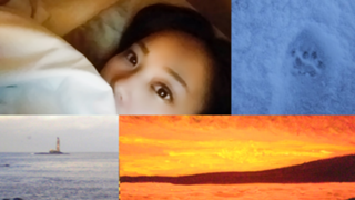 お嬢の日常と、色々配信ＲＯＯＭ♡ 