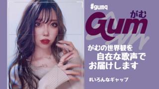 がむが暴れるお部屋