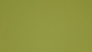 🌍️yuka channel🌍️