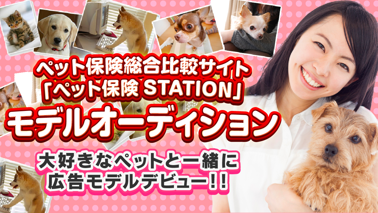 大好きなペットと一緒にモデルになれる!?ペット保険広告モデルオーディション!