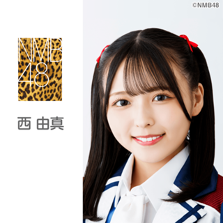 希少 らしかっ 中村元風 額 ふくら手 黄金富士皿 真作