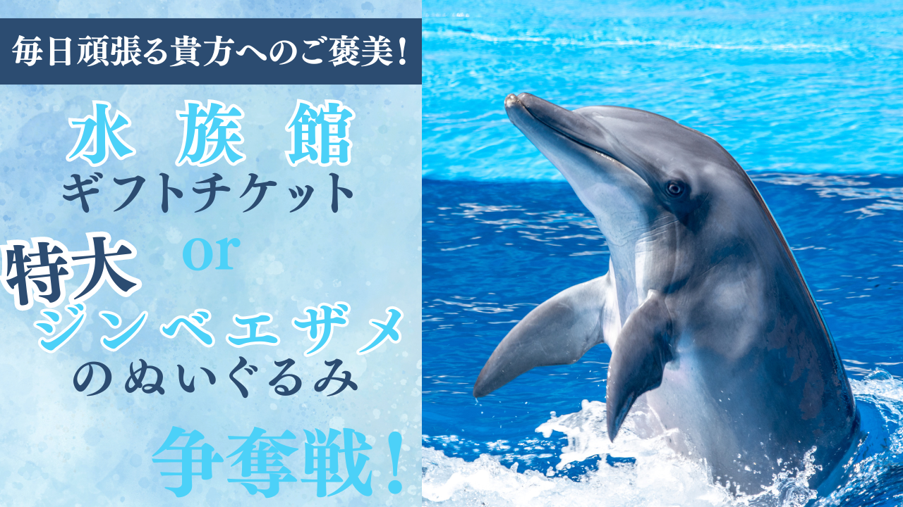 水族館ギフトチケットor特大ジンベエザメのぬいぐるみ争奪戦!Vol.04
