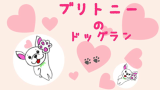 ブリトニーBeBeのイベント傭兵room