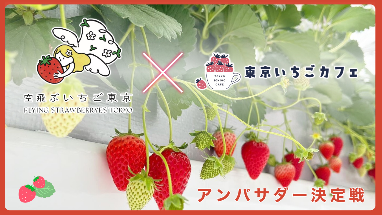 『空飛ぶいちご東京』×『東京いちごカフェ』合同アンバサダー決定戦
