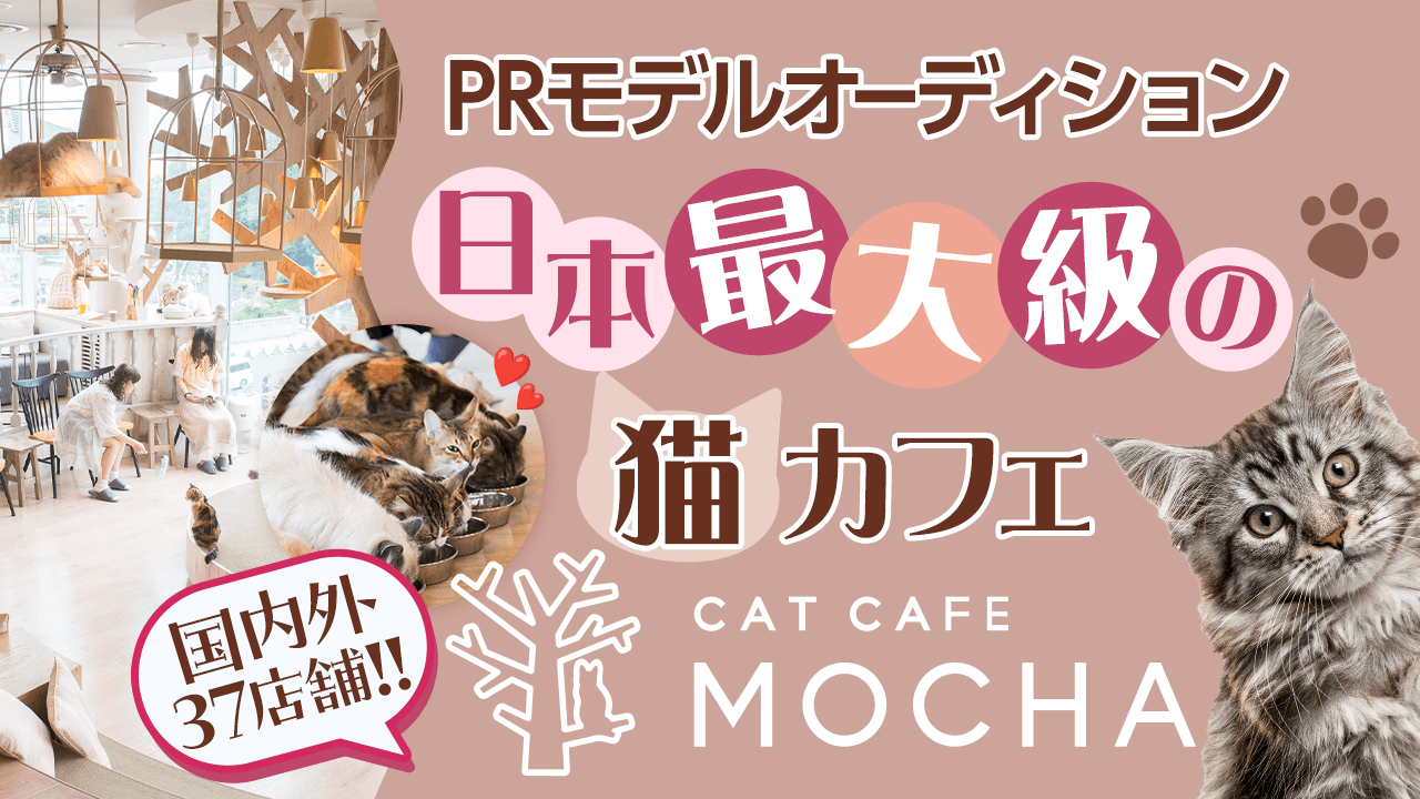 日本最大級の猫カフェMOCHA PRモデルオーディション