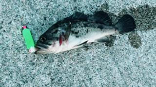 カラオケしてます