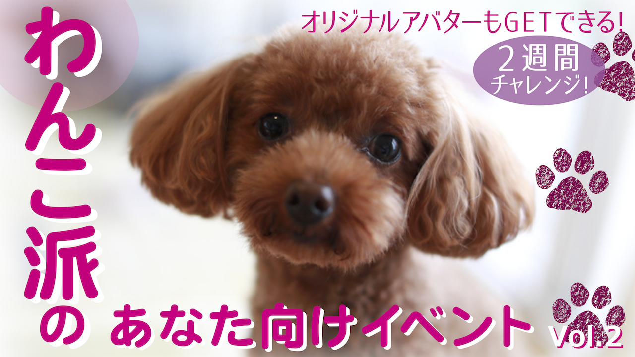 2週間チャレンジ！わんこ派のあなた向けイベントvol.2