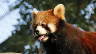 もよりんルーム