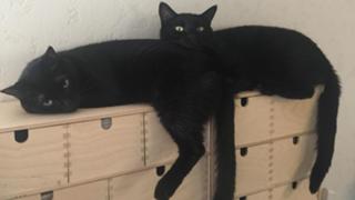 miho’s room カラオケ練習中　歌いたい曲を歌うだけ