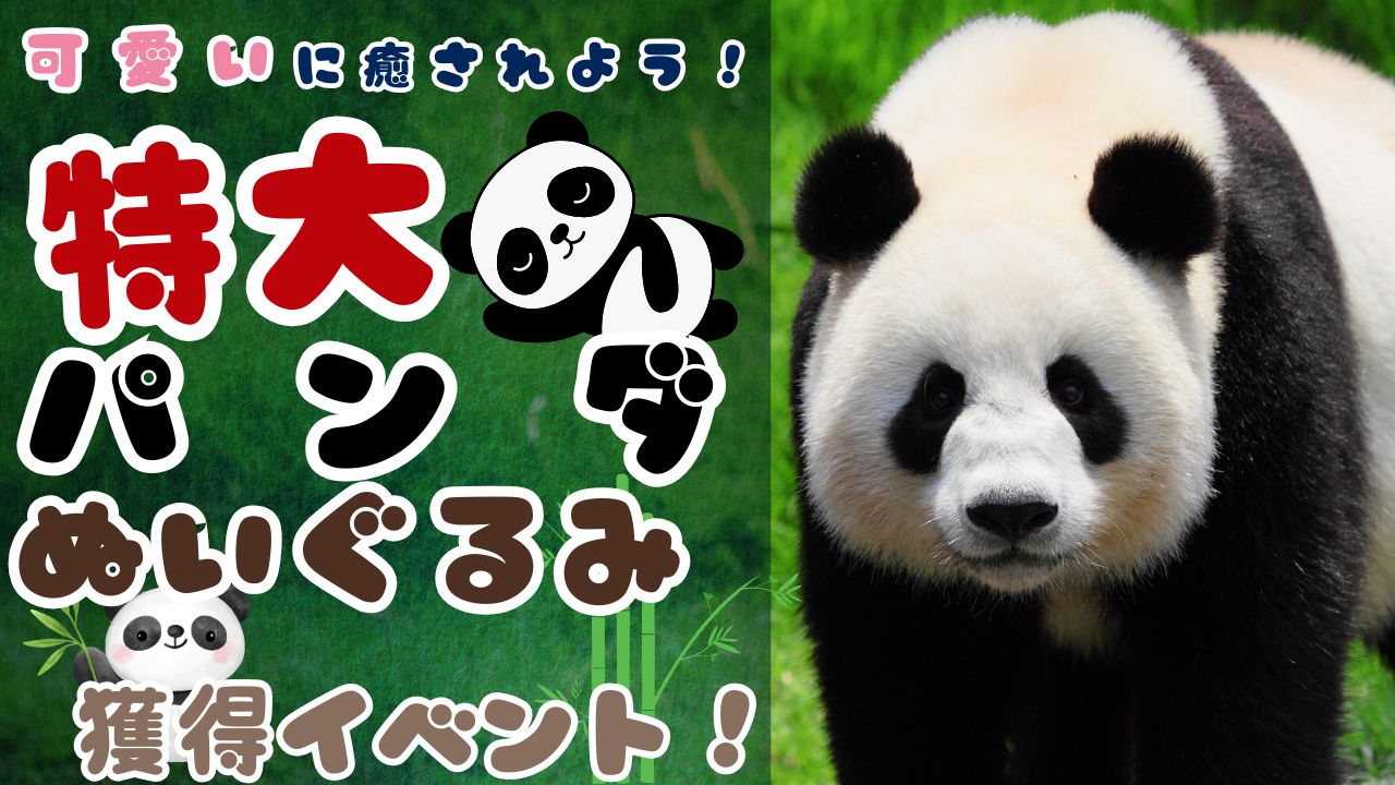 可愛いに癒されよう!特大パンダのぬいぐるみ獲得イベント!