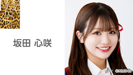 第34回 NMB48×SHOWROOM 「ナンバー1グランプリ」開催！ - SHOWROOM