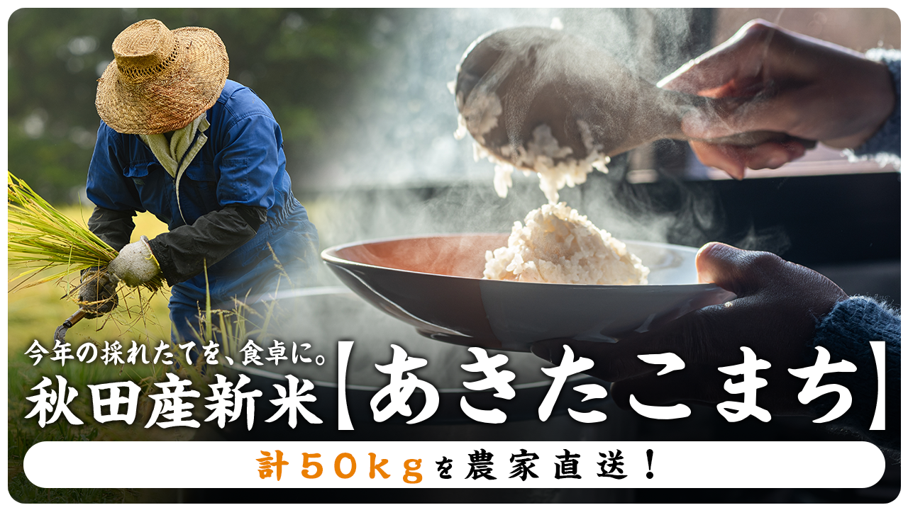 今年の採れたてを、食卓に。秋田産新米「あきたこまち」計50kgを農家直送!